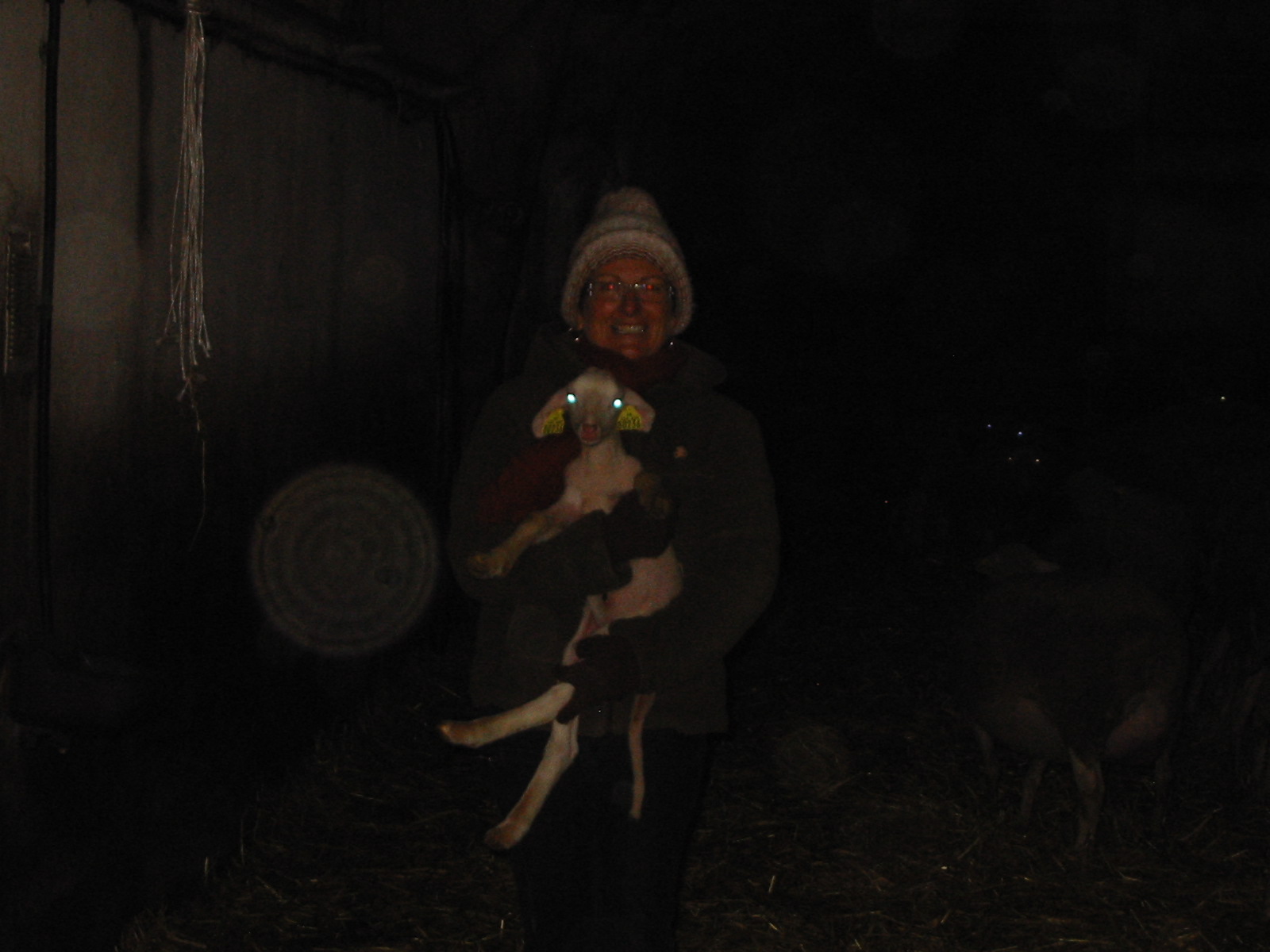 bergerie-035