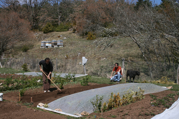 jardinage-014