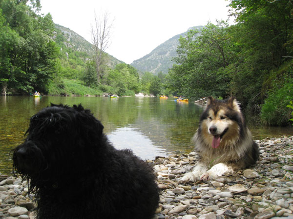 photos-jak-0222
