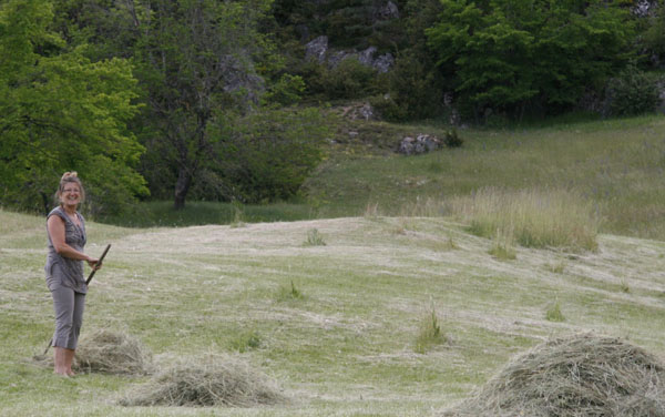 les-foins-003